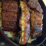 うなふじ - うなぎ丼(特) 