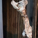 きくちひろき - 