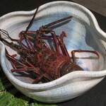 日本料理 TOBIUME - 伊勢海老！