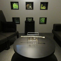 日本料理 TOBIUME - 店内の設え