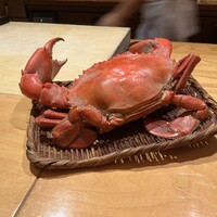 一心鮨 光洋 - 