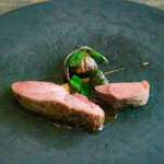 L'evo - Wild Boar Piglet