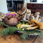 Terroir愛と胃袋 - 