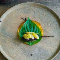 レヴォ - すっぽん