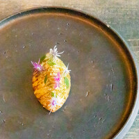 レヴォ - 黒文字