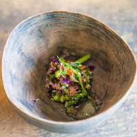 レヴォ - 月ノ輪熊