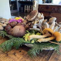 Terroir愛と胃袋 - 