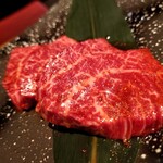 オーロックス - サガリ