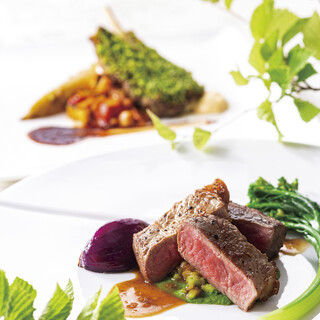 ベラ・ルーサ_1