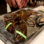 レストラン ヒロミチ - 