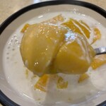 MangoTango - マンゴアロハ　フレッシュマンゴに