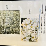 生粉打蕎麦 玄太 - 