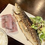 さくらさくら - 