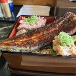呑み処鰻家 - 欲張りメニュー　特上うな重　ねぎとろ＆サーモン