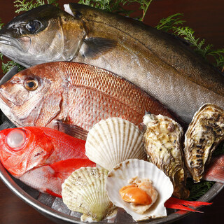 産地直送の旬な鮮魚をご堪能くださいませ。