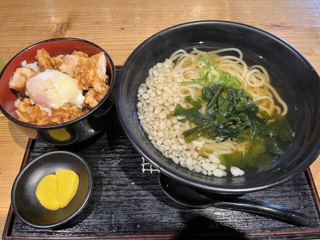 Shunsai Sumibi Hongun