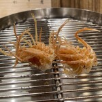 てんぷら 下村 - 海老脚の華やかさ