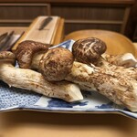 木山 - 長野県下伊那郡の松茸