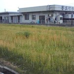 釜あげうどん 長田 in 香の香 - 第二駐車場から暫く歩くとお店が見えます