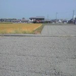 釜あげうどん 長田 in 香の香 - 時期はまさに麦秋でした