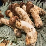 富小路 やま岸 - 