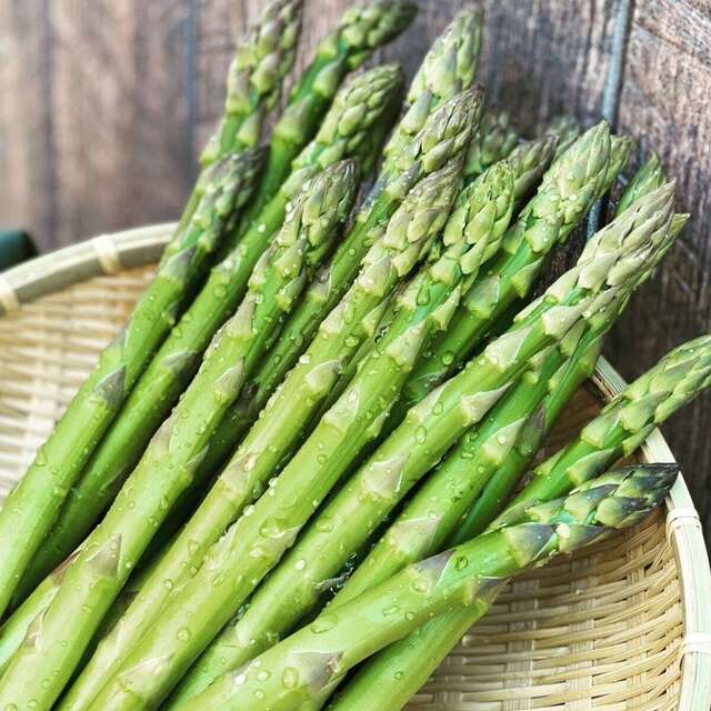 炉ばた炭焼 膳（【旧店名】波瀾万丈） - 帯広（居酒屋）の写真