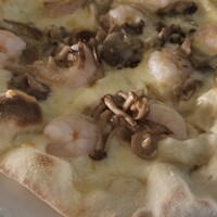 La Terrazza SABATINI - 