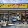 さとみの郷直売所山桜