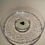 フォリオリーナ・デッラ・ポルタ・フォルトゥーナ - 