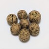 まめ菓子 豆むら 神田はなれ店