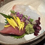 京都 天ぷら圓堂 - アオリイカ　鯛の昆布締め　鮪　お造り
