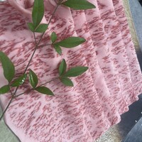 大和榛原牛 うし源 - 