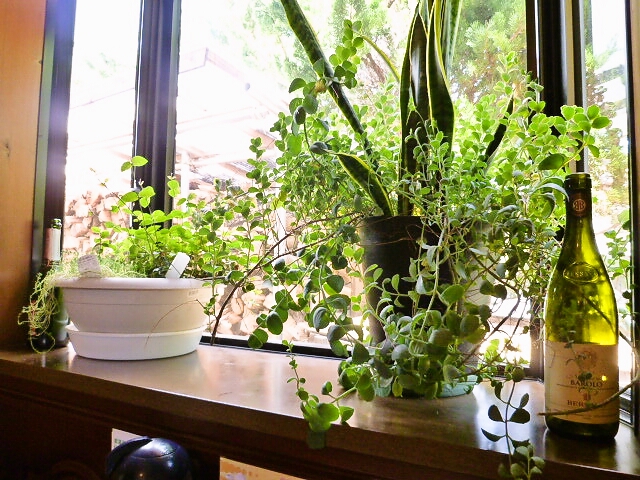 ピッコロ - 磐城棚倉（イタリアン）の写真