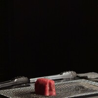 YANAGI TePPaN UNBORN GASTRONOMY - 
