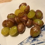 サガノサカバ - 