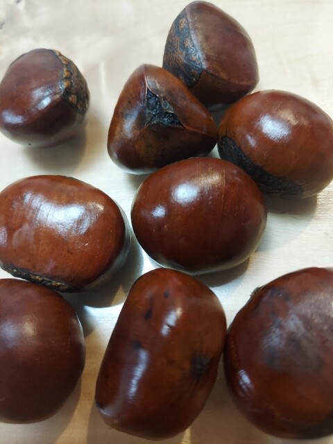 Meibutsu Tianjin Amaguri Shibuya Hachikomaemae Ten