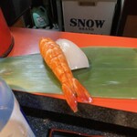 春夏秋冬 - エビとイカ