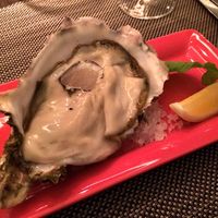 Wattle Tokyo - 前菜の前にオススメされた岩牡蠣〜っ！！あと8個でございます！という誘惑に勝てませんでした。めっちゃでっかい！