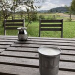 巡るインド - ラムラッシー