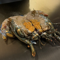 名駅 鉄板焼き 森本Ｘ Premium - 