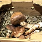 肉割烹ふたご - 