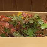 銀座 しのはら - これから飾りに使う葉っぱたち　今年は色づきがイマイチだそうです