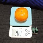 手打ちうどん磴 - さわし柿（209g）100円