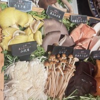 Shangri-La's secret ROPPONGI - 