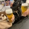 クラフトビールバービビビ。