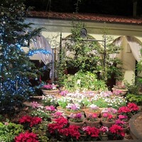 リストランテASO - 中庭