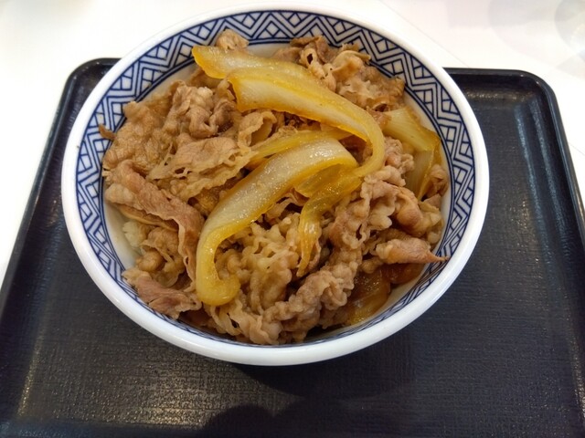 Yoshinoya Odakyu Machidaeki Minamiguchi Ten photo 3