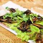 いなかむら - 2014.5 メーンダーヤーン（タイガタメの焼き物）※食材を持ち込んでます