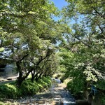 そば処 花ぐるま - 