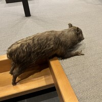 丹波篠山　近又 - 